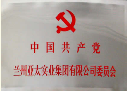 兰州问鼎娱乐app实业集团有限公司成立党委会专题